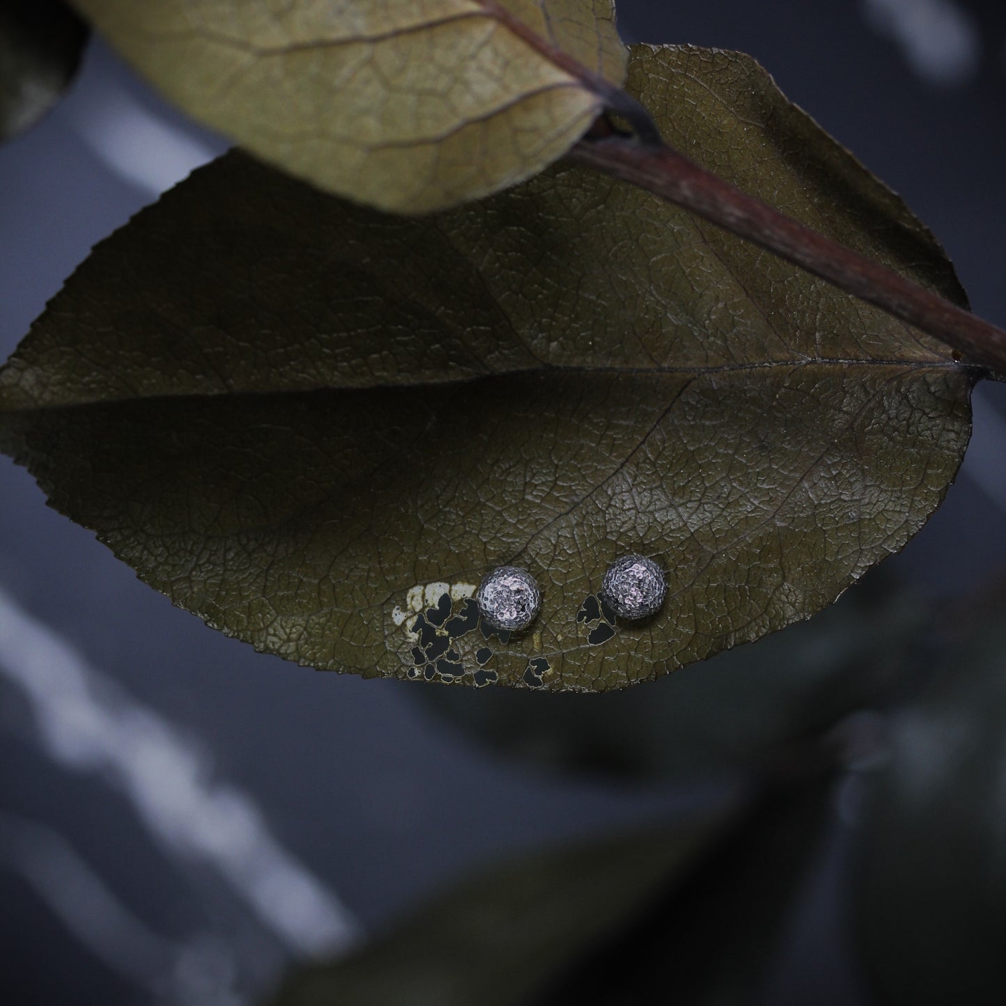 Moon Rock Studs